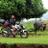 Profile Picture of Immanuel Guntur Andi (@@imm_gun) on Twitter