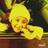 KristofDoyer13's profile image