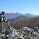 Roberto mele - @romele8 - Twitter