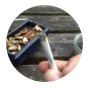 simmonsjess3's profile picture. 