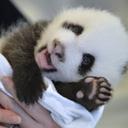 Caleb colson - @calebcolson222 - Twitter