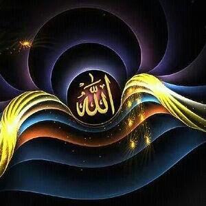 alraeai23's profile picture. 