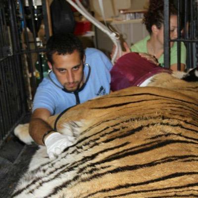 Veterinarian at Big Cat Rescue and Humane Society of Tampa Bay