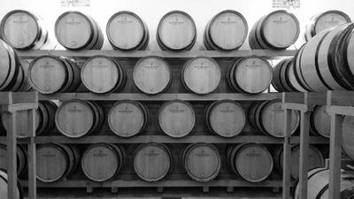 JrmeLafouge's profile picture. 