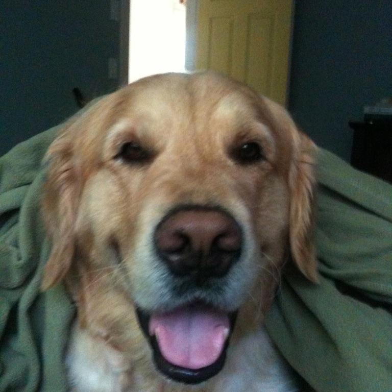 palmer1075 Profile Picture