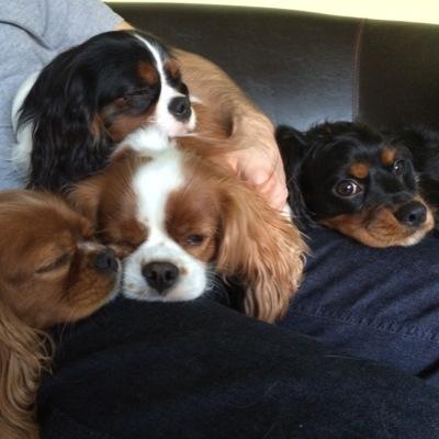 tiziflx Profile Picture