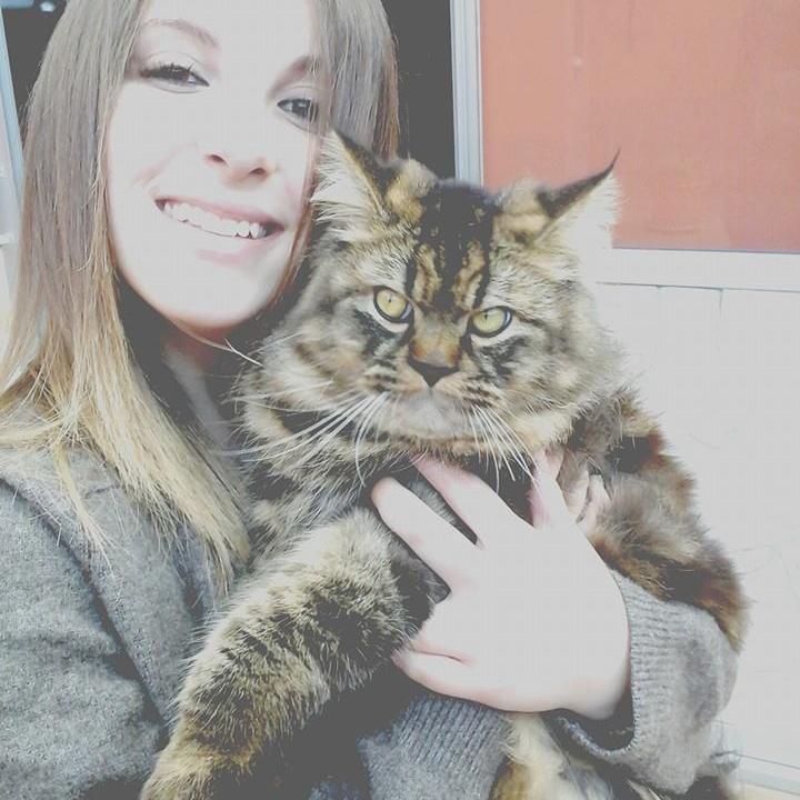 Lauraperezglez's profile picture. Sigo mi linea,torcida,pero siempre hacia arriba. No dejes de soñar