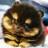 CuteAnimals724's profile image