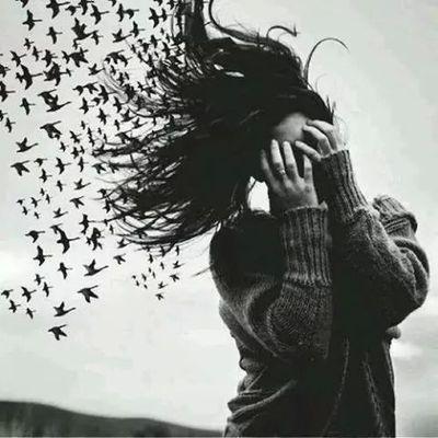 VivoDiiLibri's profile picture. 