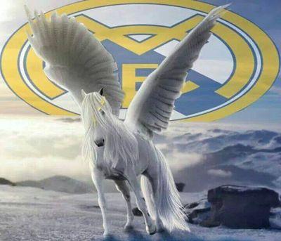 Nadal y Real Madrid lo son todo en mi vida.