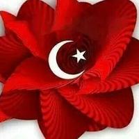 kasim dalkilic  (@ksmdlklc) Twitter profile photo