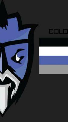 COD/NHL/GTA ±
