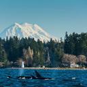 Marvin archer - @marvinarcher24 - Twitter