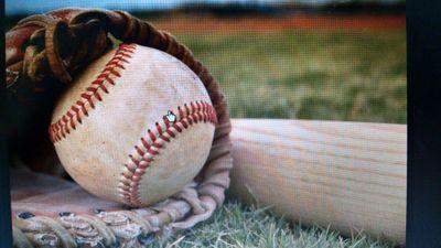 Community baseball and softball for the boys and girls of Hampton Township.