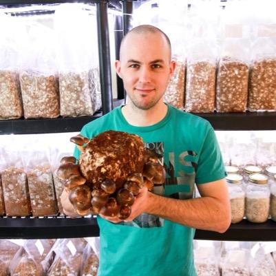 Teaching how to grow mushrooms online. Ask me anything you want!
