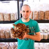 Simon Charette (@growingmushroom) 's Twitter Profile