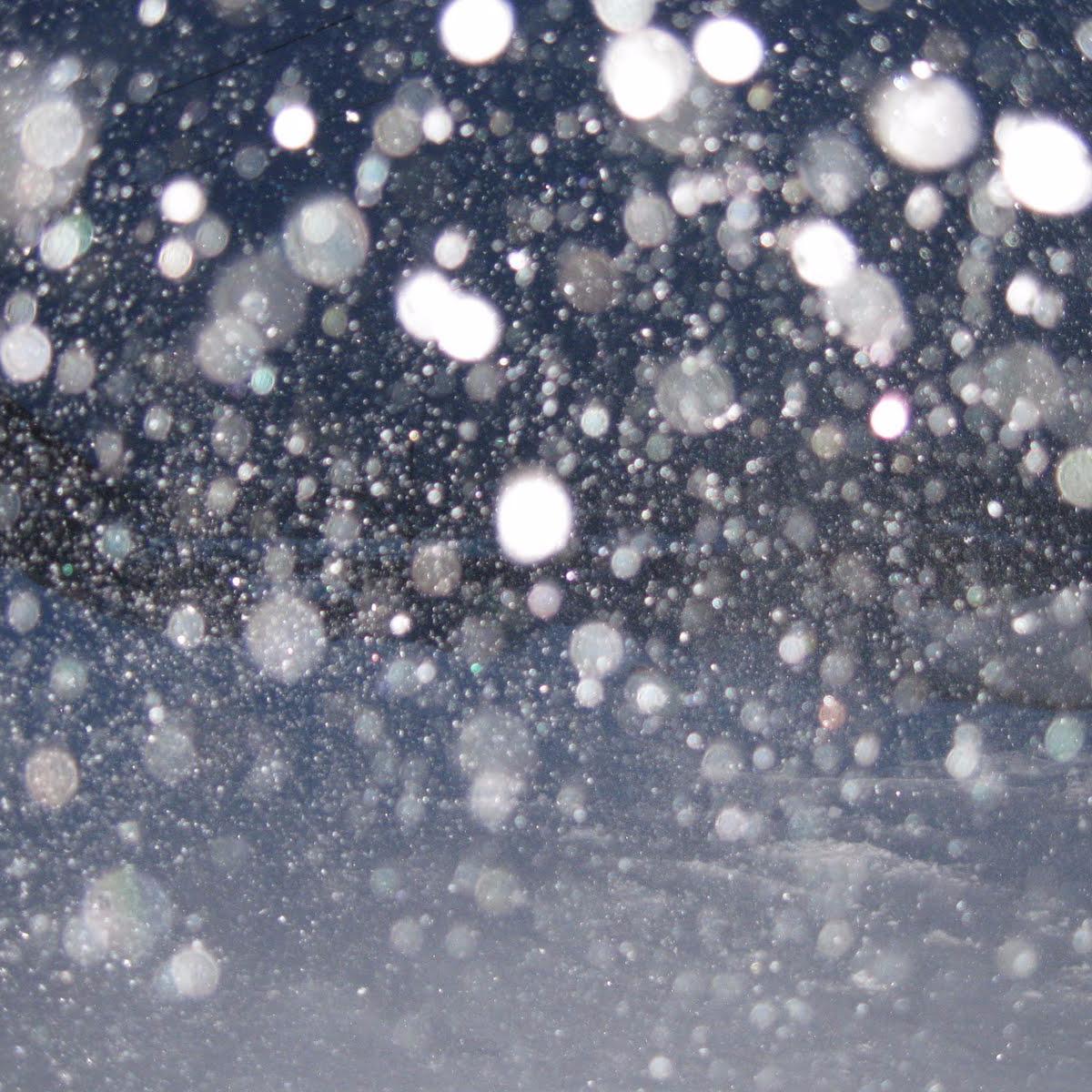 little winter wonderlands 4x per day // inspired by @tiny_star_field and living in LA // by @_hartsick