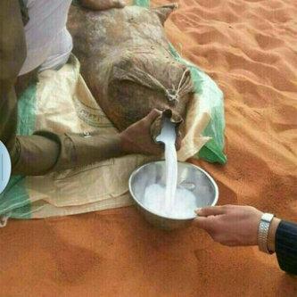لا تعبث بالاحاسيس