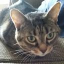 Mitchell Mclean - @Mitch_teh_mofo - Twitter