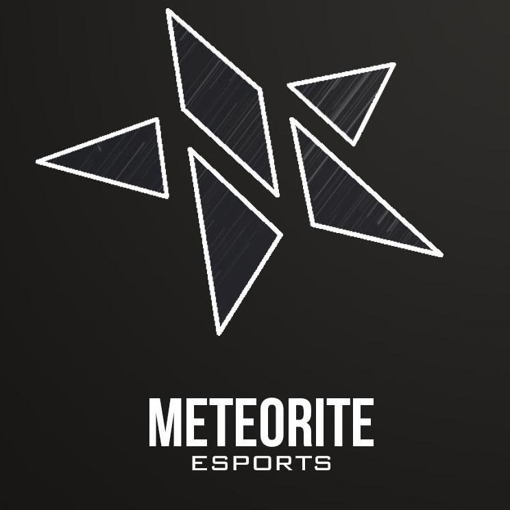 Competitive eSports Organisation       Business: meteorite.esports@gmail.com