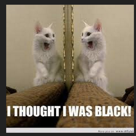 21PGehrke's profile picture. I AM CRAZZY ABOUT ANIMALS