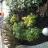 GardensByPoole's profile image