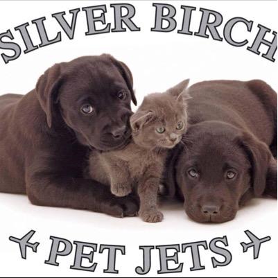 Flying family pets all around the world