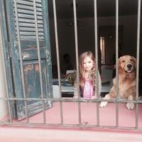 viv (@vborgno) 's Twitter Profile