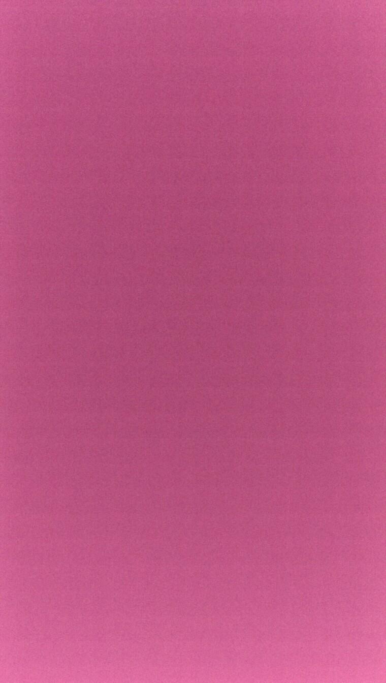 xkusjecaro's profile picture. niks