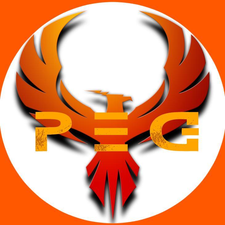 flamingironbird's profile picture. I play PC games and record them to (try) entertain all you amazing ladies and gentlefish.