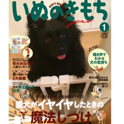 日課は晩酌🍺ソフビにどハマり中。