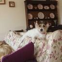 vicki jane ling - @vickiling27 - Twitter