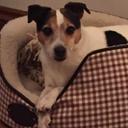 joanne pollitt - @Edgefeb02 - Twitter