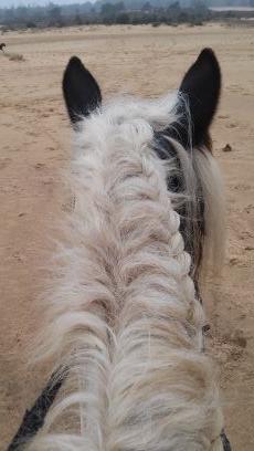 akuiken87's profile picture. 