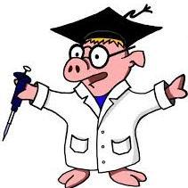 OTHSScience's profile picture. Ocean Township High School Science Club. Sharing our love of science and our love for our earth's environment with the whole OTHS community.