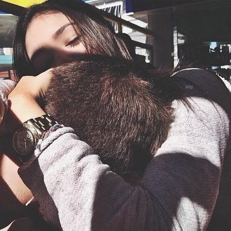 FaridDja's profile picture. 