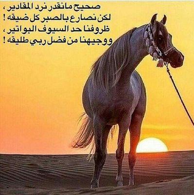 ‏العالمي حب للابد