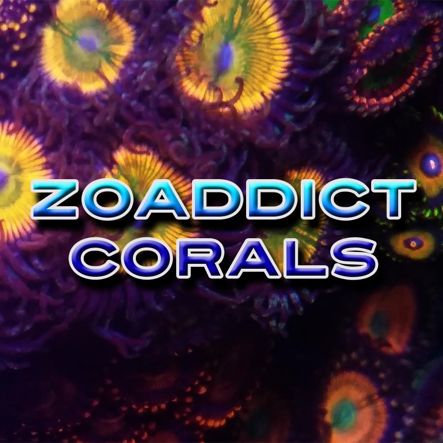 Zoaddict's profile picture. 