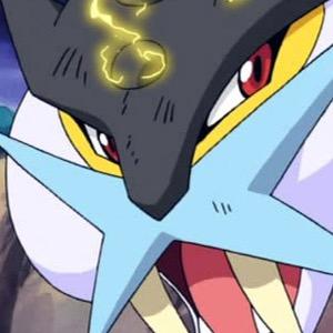 One of the Three Legendary Beasts. Distrustful to humans. Tends to appear during thunderstorms. • PokemonRP • Trainer: @HououObserver •