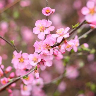 forpeachydeals's profile picture. http://t.co/rgRQhkRxu1 offers customers great deals on new and used Books, Textbooks, Blu-rays, Video Games, DVDs & CDs