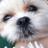 johnny_bordani's profile image