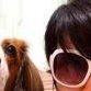 獣医師  最近はワクチン/狂犬病関連のつぶやき多め