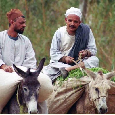 ‏الاسلام ديني والعربية لغتي