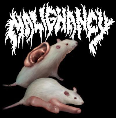 Official Twitter account for Yonkers, New York based technical death metal band Malignancy.