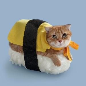 rumirumikin's profile picture. お寿司の玉子が大好きです。
アイドルヲタで何が悪いー