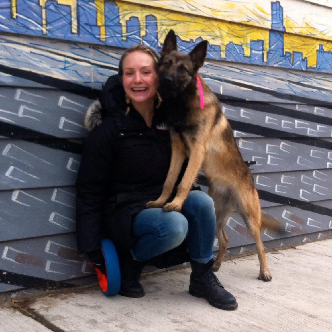 #SitMeansSit Chicago provides Professional #DogTraining in #Chicago, #Schaumburg, #CrystalLake, and surrounding northern #Illinois areas.