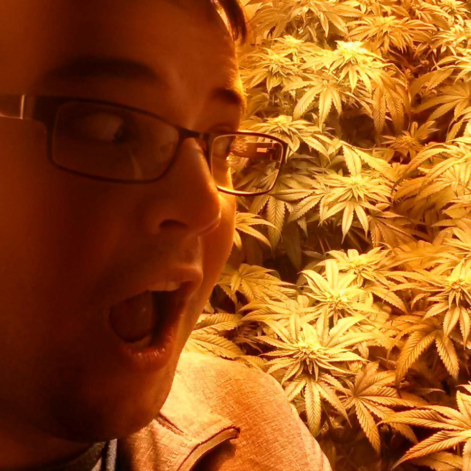 An #ACMPR Patient & I advocate for #Cannabis . ONLY the truth from my objective patient perspective. #MMAR friendly. Childhood Cancer Survivor. End hate.