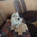 Zach Hatcher - @WadZach - Twitter