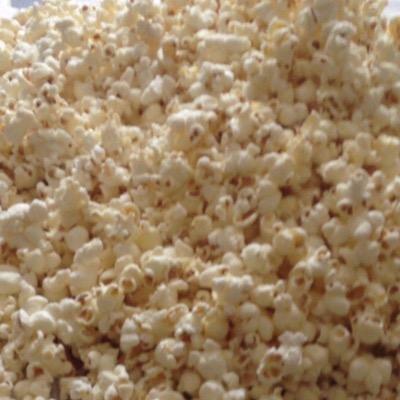 you_are_homo's profile picture. 旧アカウント