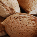 almendras_org's profile picture. Comprar almendras online